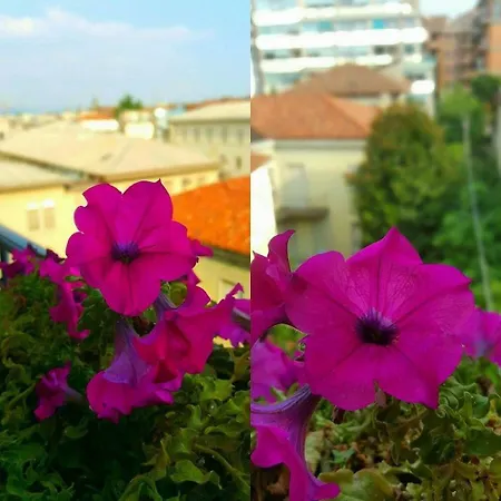 Donizetti Pensjonat